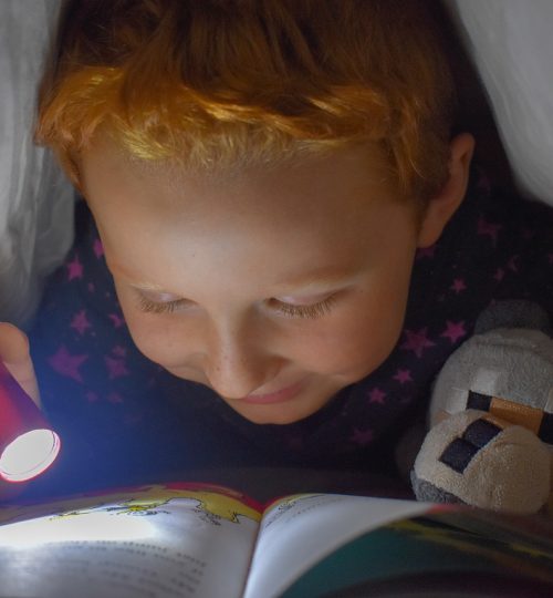 reading, bed, flashlight-5069826.jpg